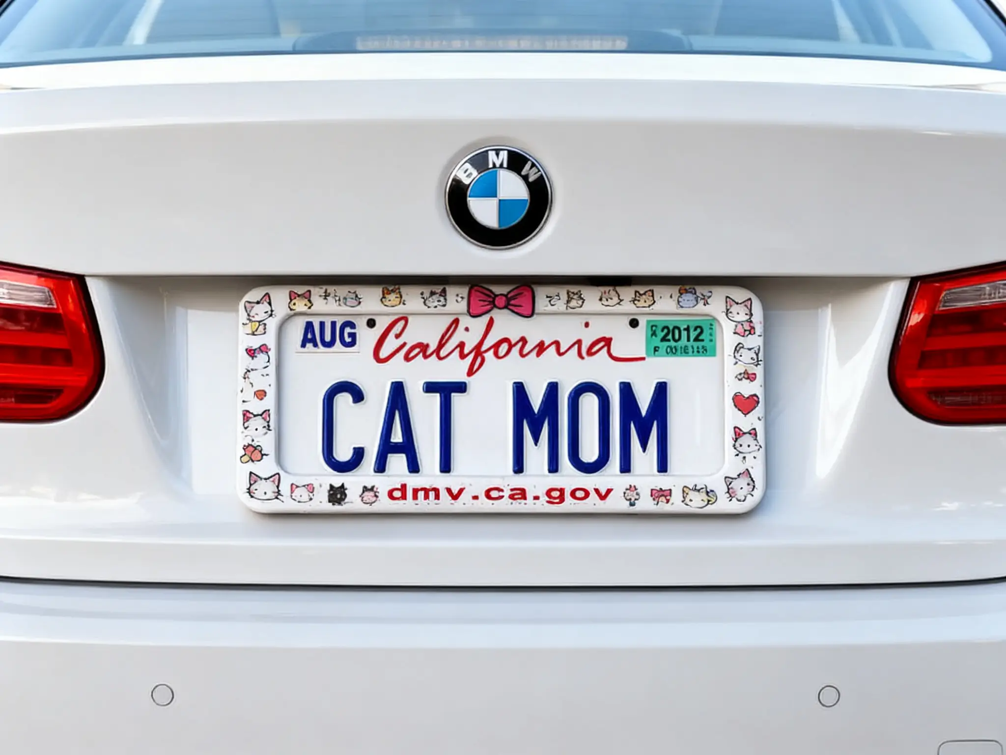Cat mom license plate ideas